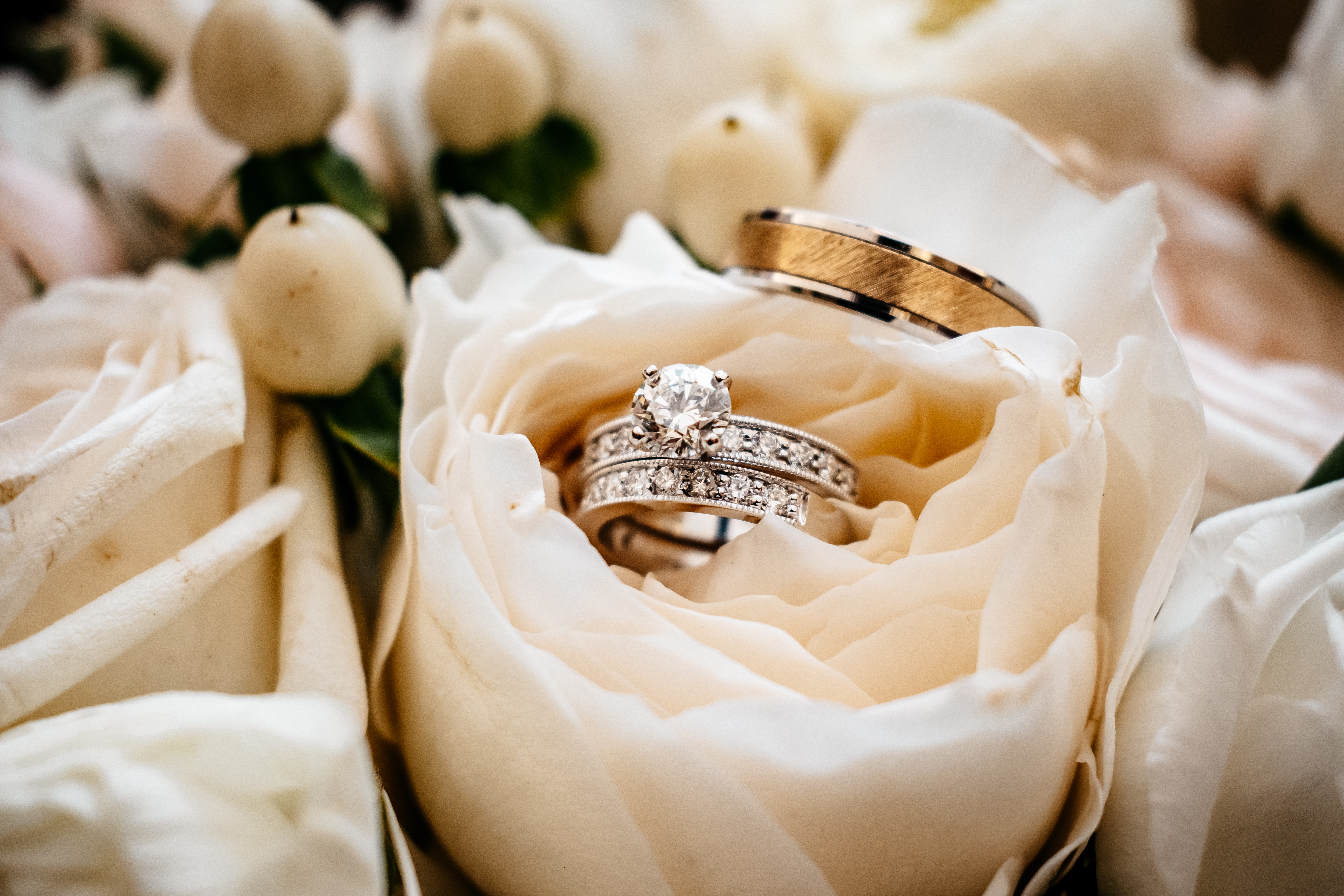 Wedding rings nestled in a rose at one of the top wedding venues in Georgia.